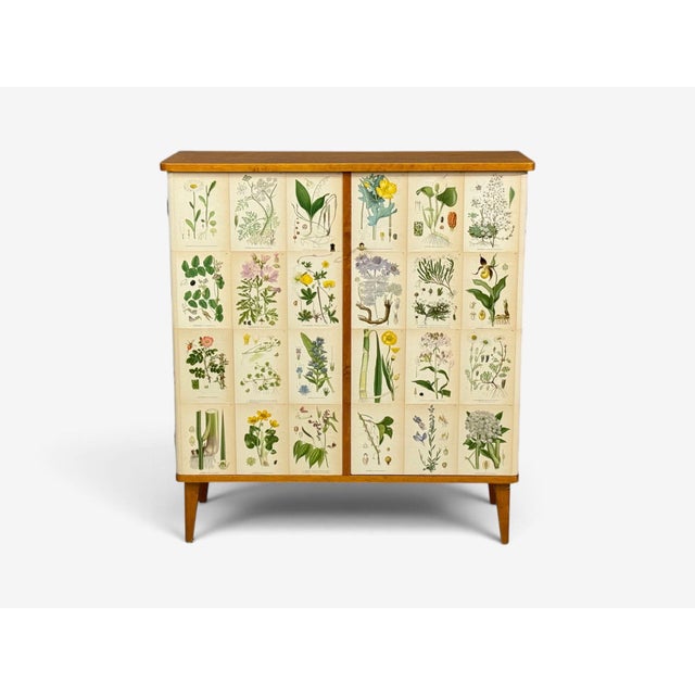 1940s Swedish Modern, Nordens Flora Cabinet, Birch, Floral Lithographs, Sweden, 1940s For Sale - Image 5 of 13