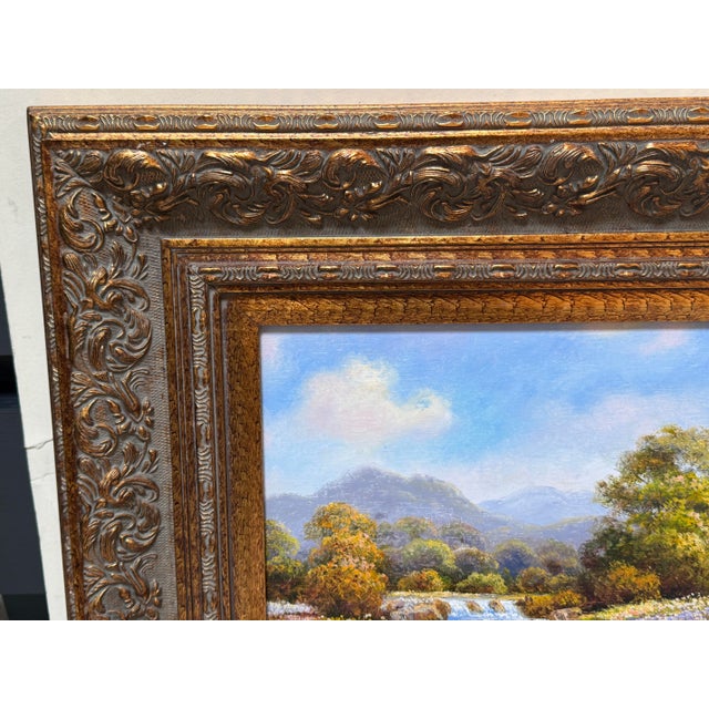 Early 21st Century David W. Mayer Hill Country of Texas Original Oil on Canvas Landscape, Signed For Sale - Image 5 of 12