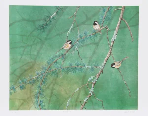 Chris Forrest, "Evergreen," Lithograph