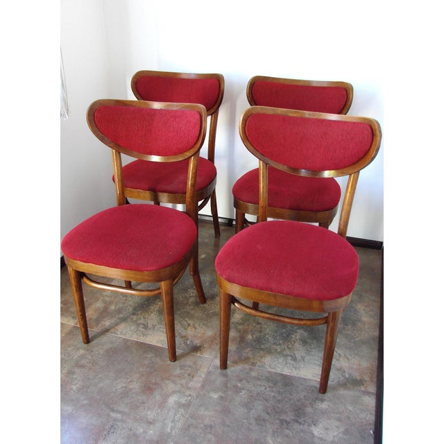 Vintage Chairs from Thonet, 1960s, Set of 4, in Good conditions. Designed 1960 to 1969