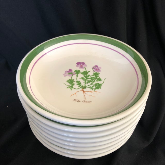 Modern Himark Viola Cenisia Made in Italy Set of 8 Pasta Bowls Chairish