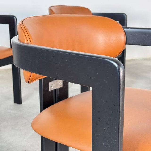 Large Pamplona Chairs by Augusto Savini for Pozzi, 1960s, Set of 8 For Sale - Image 6 of 12