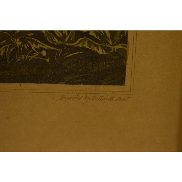 Late 19th Century Late 19th Century Pheasant Shooting Hand-Engraved Litho Black Park, Near Uxbridge Drawn by R Havell For Sale - Image 5 of 7