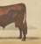 Borie, Salers Bull, French Cattle Breed, 1863, Chromolithograph For Sale - Image 6 of 9