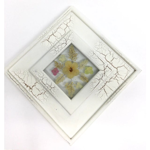 Wood Vintage Botanical Framed Flower Collage For Sale - Image 7 of 12