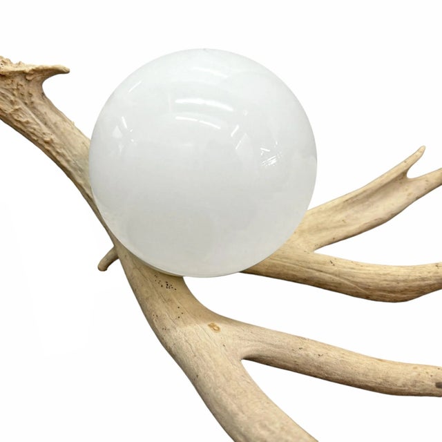 Deer Antler Lamp For Sale - Image 10 of 12