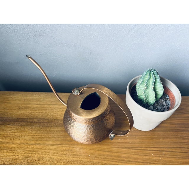 For cacti, orchids, or succulents, this charming little vintage watering can will prove precise, practical, and highly...