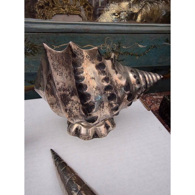 Collection of Silverplated Sea Shells For Sale In San Antonio - Image 6 of 8