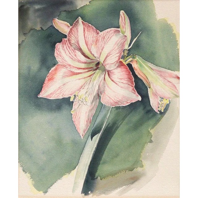 Highly detailed watercolor of an amaryllis blossom by Joe Yeager (American, early-mid 20th Century). Signed "Joe Yeager"...