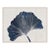 Sea Palm (var. 1) by Susan Hable, Acrylic Box For Sale