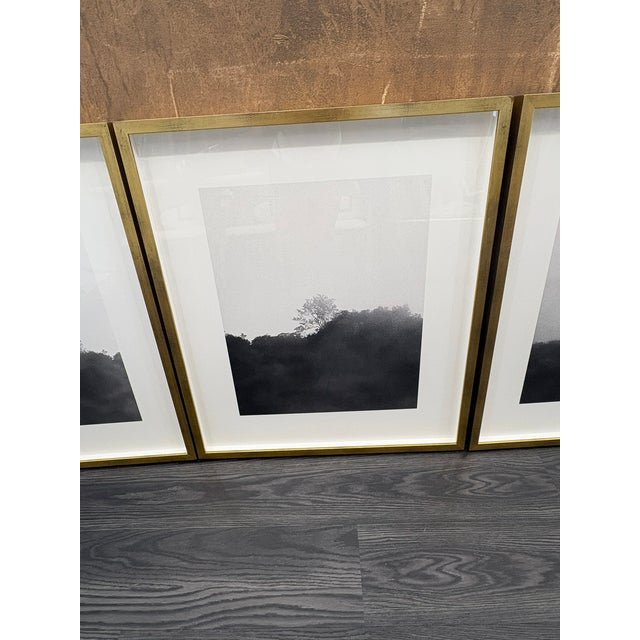 Rh Kate Schermerhorn “Hidden Detail” Art Collection – Complete Set of 4 For Sale - Image 15 of 18