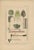 C.J. Temminck, Weapons and Tools of Roti & Sawoe Indonesia, 1840, Paper For Sale - Image 5 of 5