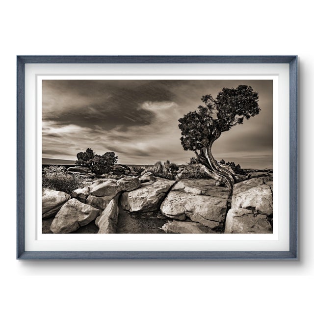 This is a signed photograph in an edition of 10. The image is sepia toned and printed on a toothy watercolor vellum that...