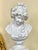 Add a touch of timeless European elegance to your space with this refined French-inspired lady bust sculpture. Featuring...