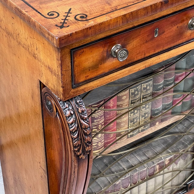Wood Regency Mahogany and Brass Inlaid Chiffonier Bookcase, 1820s For Sale - Image 7 of 11