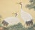 1940s "Cranes and the Big Pine Tree", Showa Era Japanese Silk Scroll Painting For Sale - Image 5 of 17