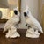 Vintage Mid Century Porcelain White Cockatiel Birds- A Pair