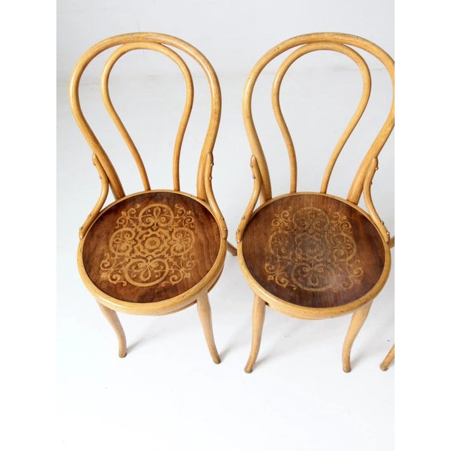 Mid 20th Century Antique Thonet Bentwood Chairs Set of 4 For Sale - Image 5 of 13