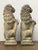 Stone Pair of Cast Stone Armorial Lion Garden Statues From England - Two Available For Sale - Image 7 of 15