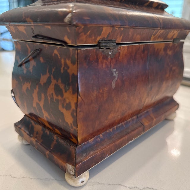 Early 20th Century English Faux Tortoise Shell Tea Caddy For Sale In West Palm - Image 6 of 11