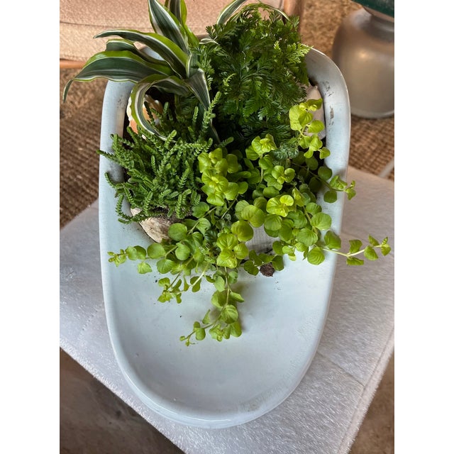 Yes, it's an antique English ironstone hospital bedpan with handle but its charm is the perfect partner to potted plants....