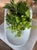 Yes, it's an antique English ironstone hospital bedpan with handle but its charm is the perfect partner to potted plants....