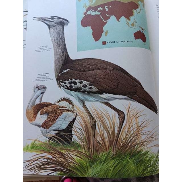 Last Call -Stack Large Reference/ Coffee Table Books- Set of 3 For Sale - Image 9 of 12