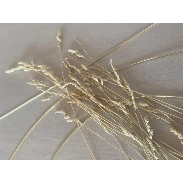 Dactyle Suspended Sculpture by Studio Sol Leccia For Sale - Image 4 of 6