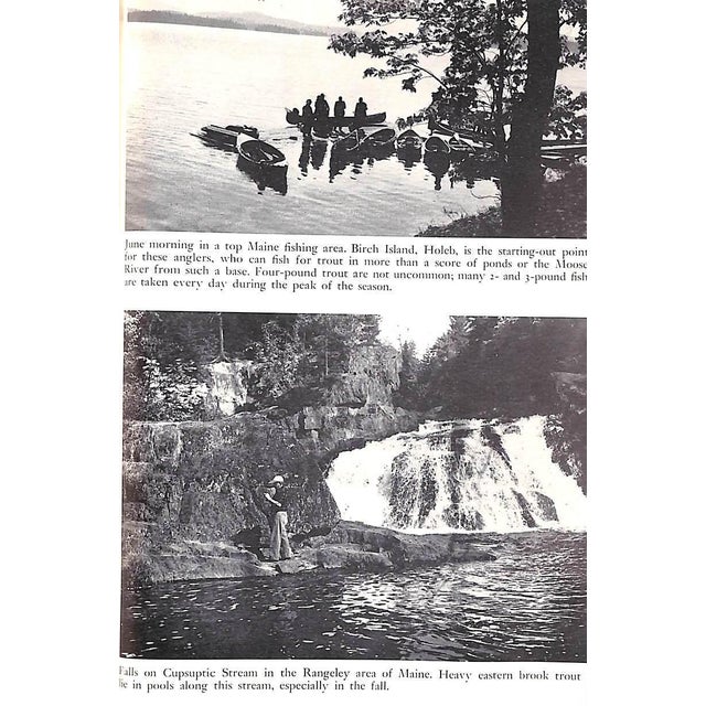 "All About Brook Trout From Maine to California" 1954 Elliot, Bob For Sale - Image 4 of 9