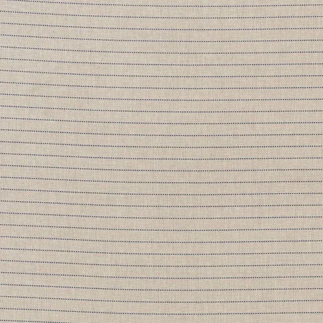 Sample - Schumacher Manning Stripe Indoor & Outdoor Fabric in Blue & Natural For Sale