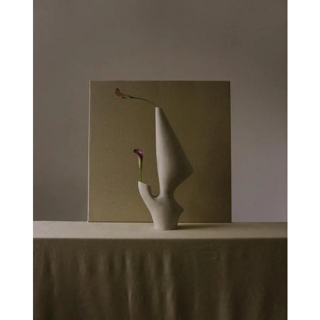 Aquilla Vases by Cosmin Florea For Sale - Image 3 of 5