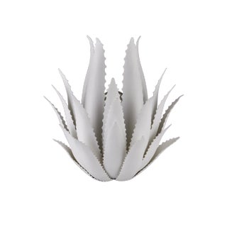 Currey & Company Agave Wall Sconce For Sale