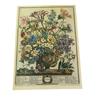 1964 Vintage Printing of Full Set of Robert Furber’s Twelve Months of Flowers From 1730 For Sale