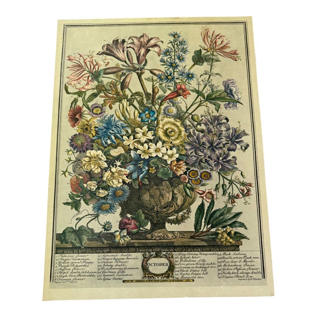 1964 Vintage Printing of Full Set of Robert Furber’s Twelve Months of Flowers From 1730 For Sale