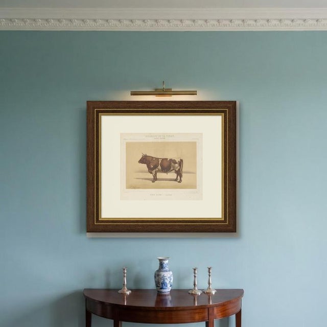 Paper Olivier De Penne, Ayrshire Bull, Scottish Cattle, 1863, Chromolithograph For Sale - Image 7 of 9