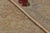 Antique 20th Century Hooked Rug in Beige With Rose Floral Borders - Rug & Kilim For Sale - Image 9 of 10