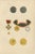 Plate XV Belgian Independence of 1830 and Leopold Medals, 1844 For Sale - Image 3 of 9