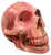 Skull in Rhodochrosite Mineral For Sale