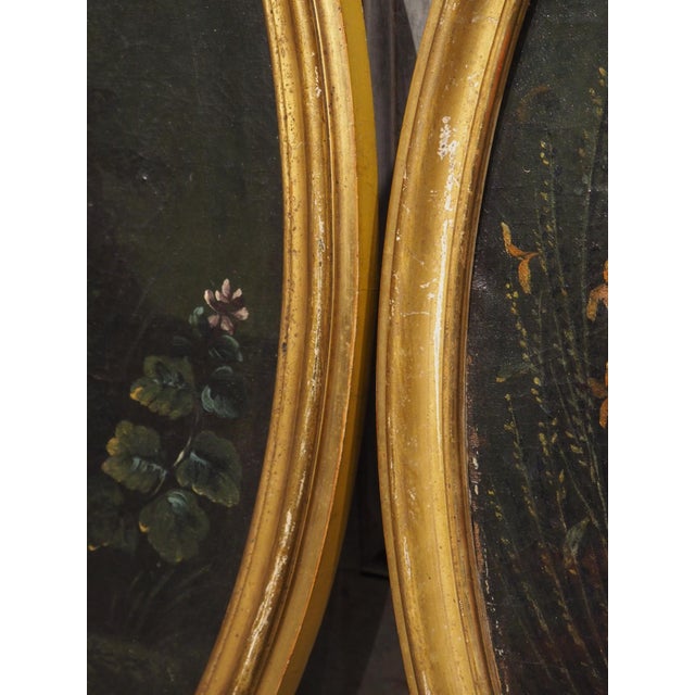Green Pair of French Antique Hunt Trophy Paintings in Giltwood Frames, 19th Century For Sale - Image 8 of 18