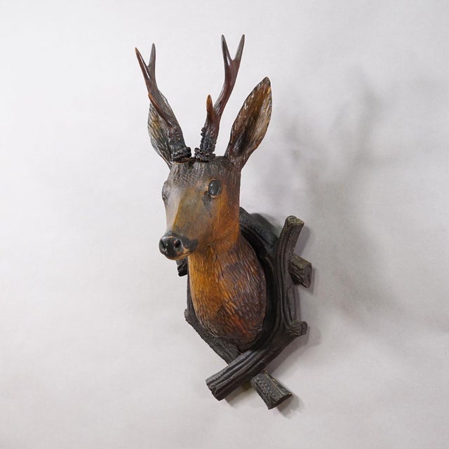 Large Naturalistic Black Forest Carved Deer Head, ca. 1930s Item e8183 A great antique wooden carved Black Forest red deer...