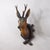 Large Naturalistic Black Forest Carved Deer Head, ca. 1930s Item e8183 A great antique wooden carved Black Forest red deer...