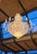 Custom Empire Style Lead Crystal Basket Chandelier 48 Lights 200 Cm For Sale - Image 4 of 7