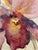 Contemporary Orchid Oil Painting by Blum – Oil on Panel, Framed For Sale - Image 14 of 15