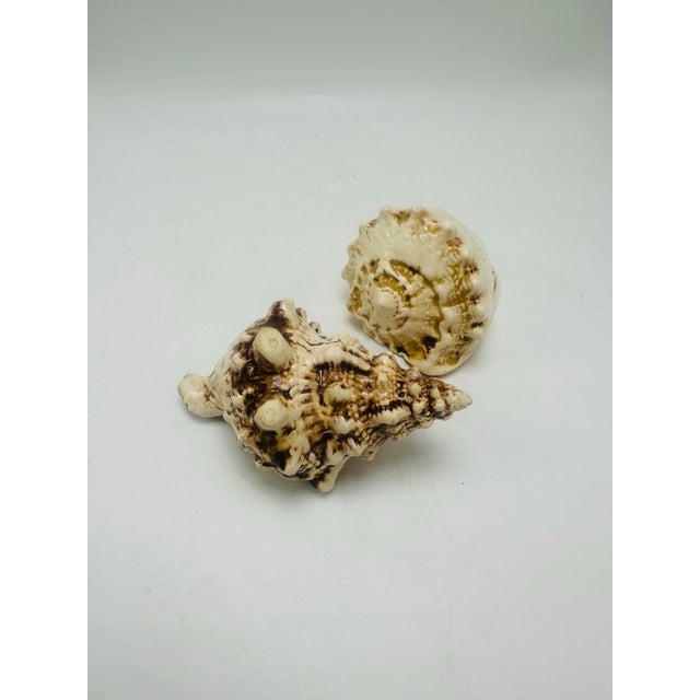 Vintage Ceramic Seashell Figurines – Coastal Nautical Decor (Set of 2) This beautiful pair of vintage ceramic seashell...