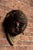 Early 20th Century W W I Bayonet and Fencing Training Mask For Sale - Image 4 of 10