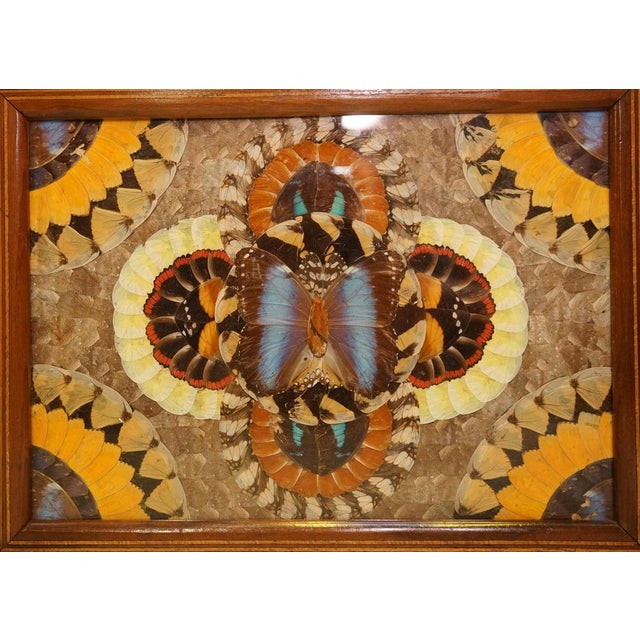 We are excited to present this vintage Brazilian inlaid wood tray with real Morpho butterfly wings. A Brazilian inlaid...