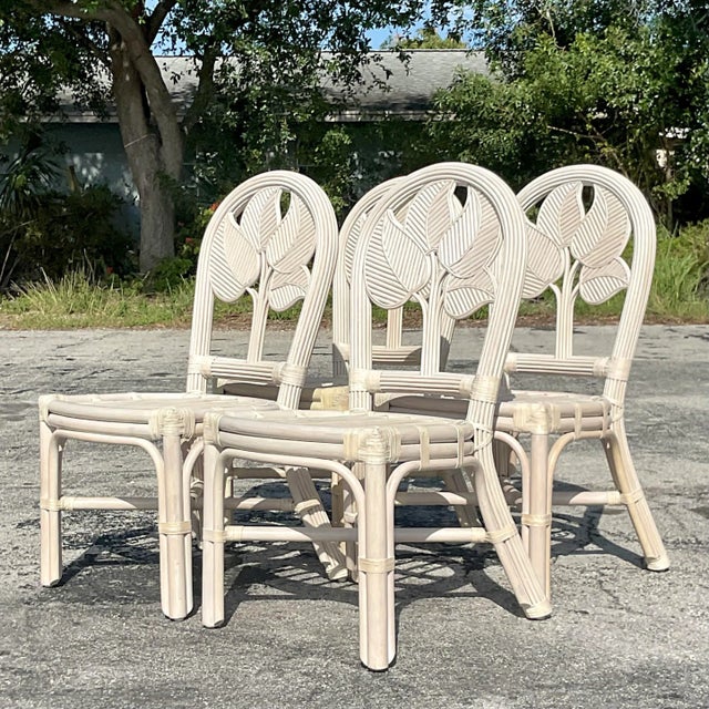 Wood Vintage Coastal Rattan Dining Chairs - Set of Four For Sale - Image 7 of 9