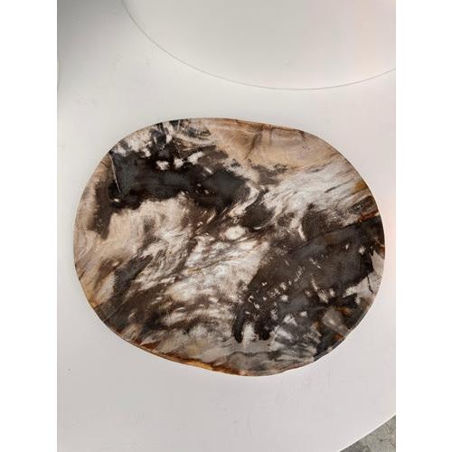 Very Large Vide-Poche or Dish in Petrified Wood For Sale - Image 6 of 18
