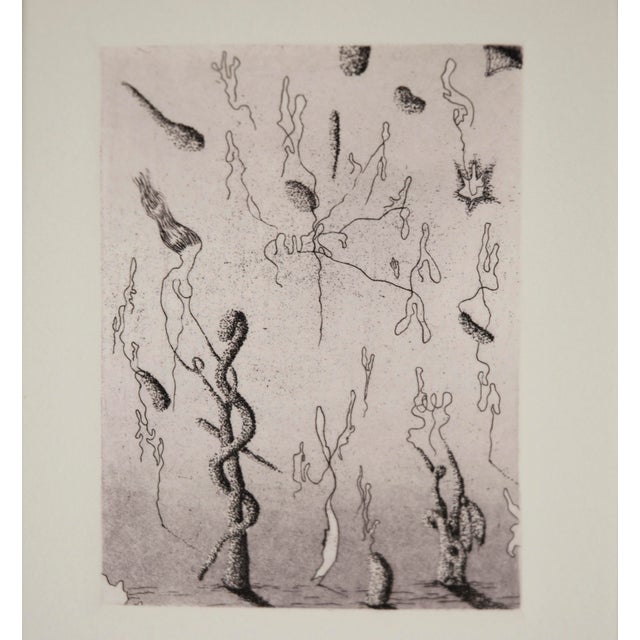 "Departure #6" - 1976 Surrealist Lithograph on Paper 1976 surrealist lithograph on paper titled "Departure #6" by Jim...