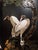 Chinese Black Chinese 6-Panel Folding Lacquer Screen For Sale - Image 3 of 12